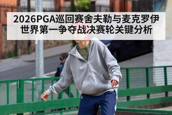 2026PGA巡回赛舍夫勒与麦克罗伊世界第一争夺战决赛轮关键分析